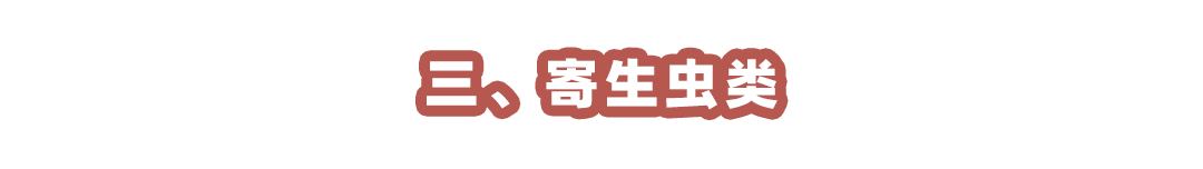 0 (3).png