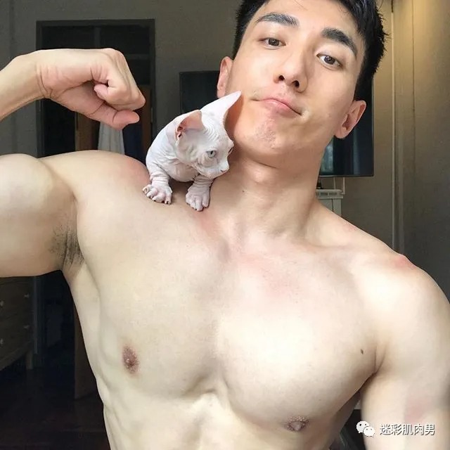文章封面